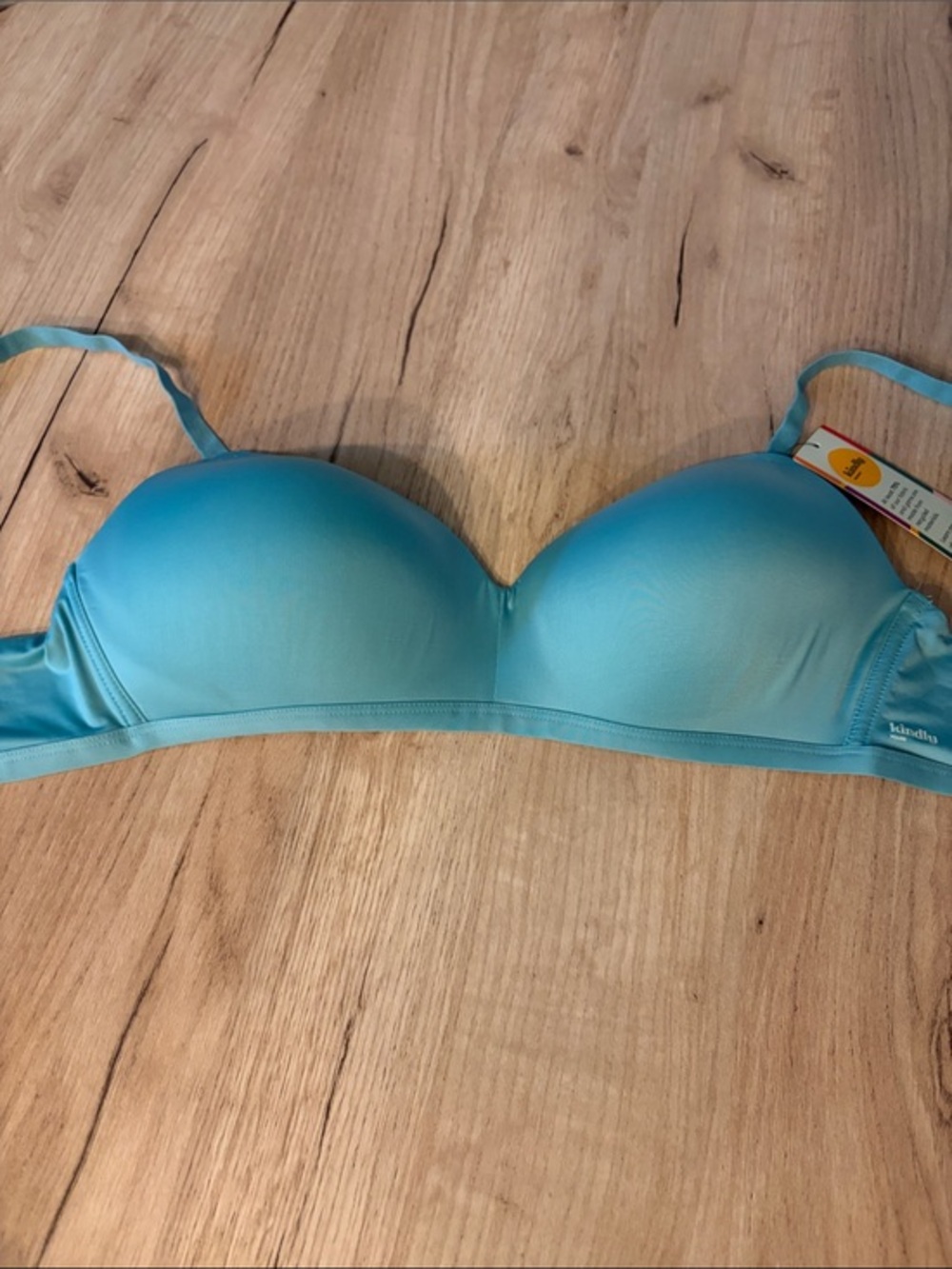 KINDLY YOURS AQUA BLUE WIRELESS T-SHIRT BRA SIZE 38B NWT